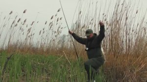 ПОПАЛ НА ВЕСЕННИЙ ХОД РЫБЫ. ПОКЛЕВКИ НА КАЖДОМ ЗАБРОСЕ. Рыбалка на донку.