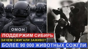Сибирь поддержим.
