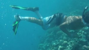 Живность Красного моря 3. Египет. Хургада. 2012, октябрь. Отель Zahabia Resort &