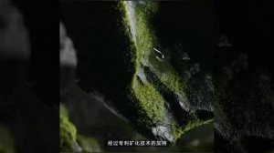 Обзор умного очистителя воды Xiaomi Mijia Bonanza Water Purifier 1200G (MR1263-D)