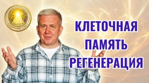 1  Клеточная память. Человек Новой регенерации.