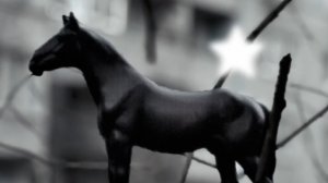 Фото Амулета и Жапплу