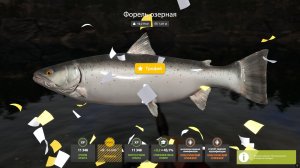 Русская рыбалка 4.Озеро Куори,Трофейная Форель Озёрная