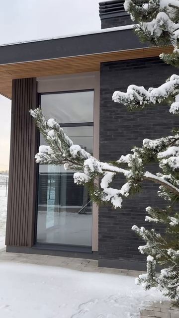 В этом году зима нас очень порадовала — снег, легкий морозец и даже солнышко!