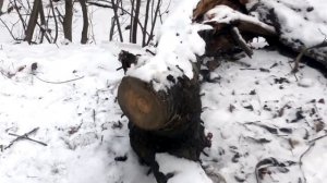 Трескучие шарики JF0205A   ВОЛШЕБНЫЕ ШАРЫ   упак 6 штук #pyrotehnik63