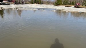 На Випе полностью Открытая вода