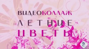 ВИДЕОколлажЛетниеЦветы#Видеоklass#ЖаннаДаценко#ЖизньПрекрасна#ЦветноеНастроение#КраскиЛета#