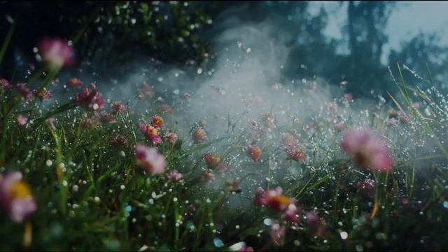 Анатолий Бабушкин Акварель Творца