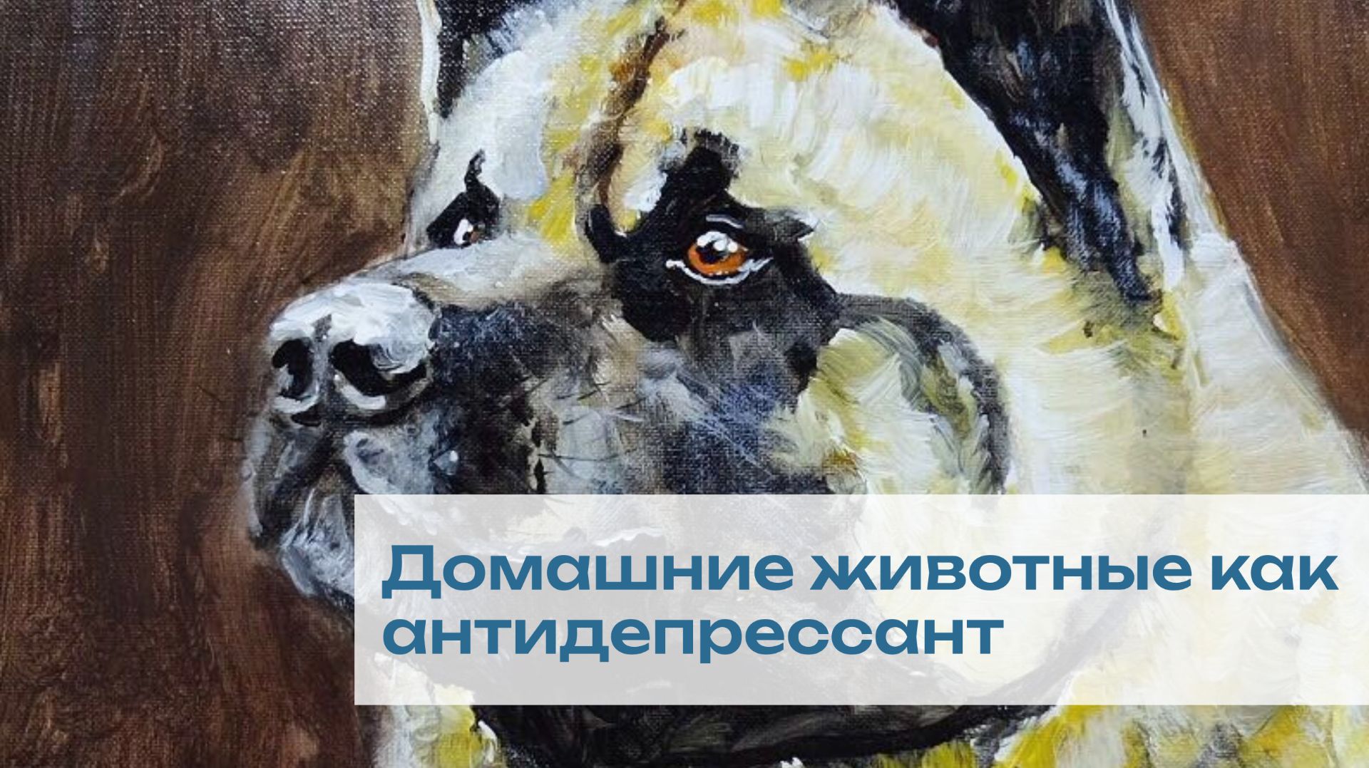 Домашние животные как антидепрессант