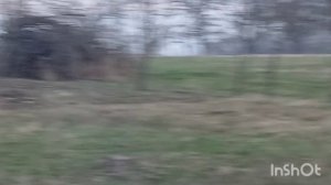 с днём смеха.  палю костер