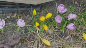 31 марта 2026 покатушка по центру