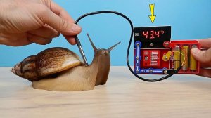 Собрал из Конструктора Термометр для Улитки! DOKA супер измеритель