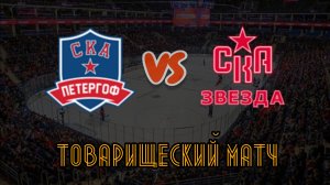 СКА Петергоф 15 - СКА Звезда 14, 04.04.26