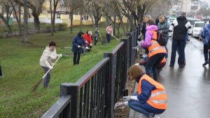 Опрос: готовы ли жители Самарской области участвовать в субботниках?