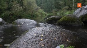 Программа «Город. Новости по-выборгски» от 1 апреля 2026 года