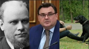 Тайные смыслы. Улица Кони в Питере