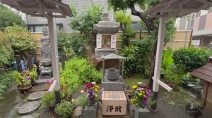 Прогулка под дождем. Токио, Япония, пригород, 4K, asmr⛈️☔