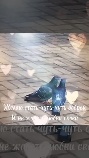 Стихотворение «Желаю солнечных лучей»