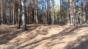 И вновь я в санатории Чистый ключ.Нужно решить очередную проблему со здоровьем.01.04.2026