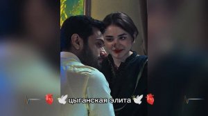 новая❤️🩹 цыганская песня 2026 года🐥 ищют все лащюры музычка😻 Шон лайко зорики бахторики запэндо✌