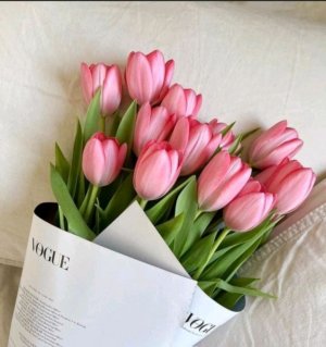 Веду прямую трансляцию! Заходи поболтать!