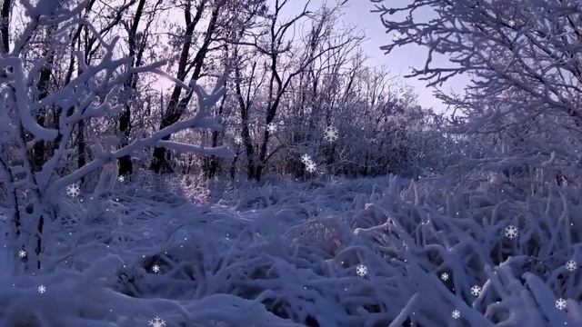 СНЕЖНАЯ КРАСОТА  Иванка Черница
