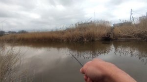 ТРОФЕЙ НА МОРМЫШИНГ! Карась проснулся!