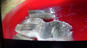 ЛЮБЛЮ 💥 РЫБКУ 💥ИВАСИ💥 ПОДПИШИСЬ