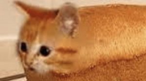 Отвечаю на ваши вопросы