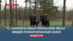 Для охраны севастопольских лесов привлекаются конные патрули