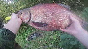 ЛОВЛЯ КРУПНОГО ЛЕЩА на ФАРВАТЕРЕ с ЛОДКИ на ДОНКИ