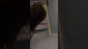 распаковка