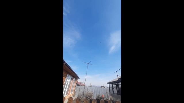 Старт голубей  Никитина Сергея г. Черногорск Республика Хакасия