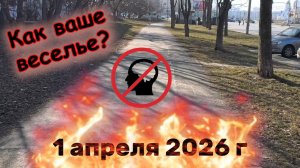 Как ваше веселье 1 апреля 2026 г ?