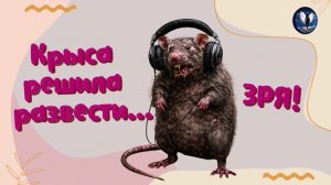 Крыса решила развести… зря.Телефонные аферисты