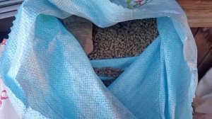 МЕТЕЛКУ ВСЕ ТАКИ ОСТАВЛЮ//ВЗЯЛА БАТЯНЮ//Как живут в деревне//