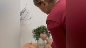 MOV_20260401_225511_632