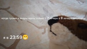 🪿🪿👍😀😁😁😁😁смешное видео