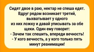 Супер_Анекдоты_для_Хорошего_Настроения!_Смех_и_Позитив!