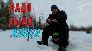 Не большая рыбалка.