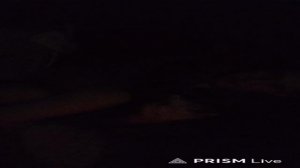 Ночной стрим