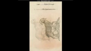 Книга Перемен. Человекоподобные Существа изображения собранные с 10 по 18 век