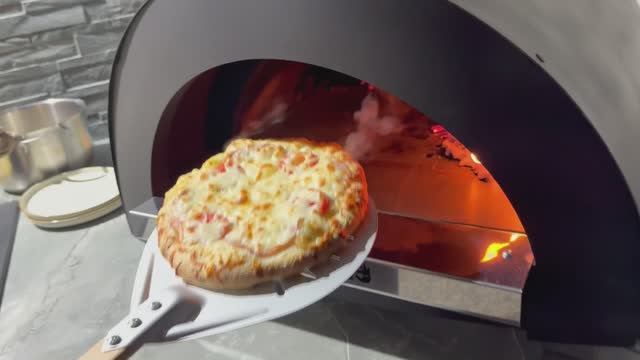 Получилась очень вкусная пицца в помпейской печи. Помпейская печь смотреть онлайн