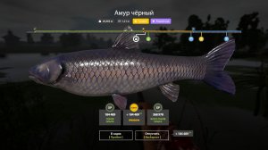 СУПЕР ФАРМЫ НА АХТУБЕ И МЕДНОМ, РАЗДАЧА ТРОФОВ ПАЛИИ И СИГОВ ОБЗОР ВОДОЕМОВ В РУССКОЙ РЫБАЛКЕ 4 РР4