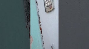 зайдите пж за смелость мы будем снимать видосик!)