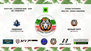 КУБОК ТАТАРИНА 31 марта - 2 апреля матч 10 «Ледокол» г. Зеленодольск - «Белый тигр» г. Казань