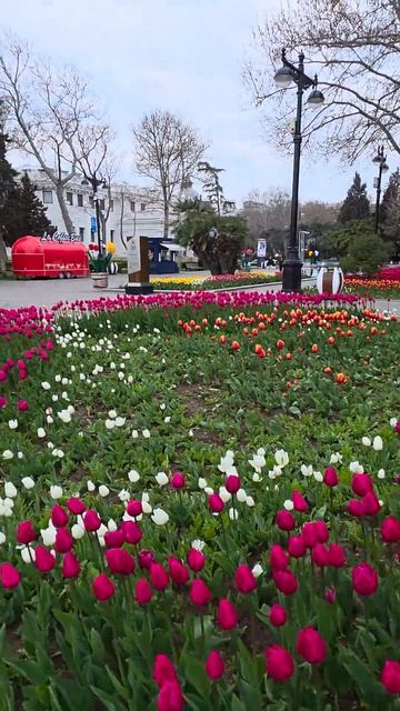 1 Апреля 6 утра 