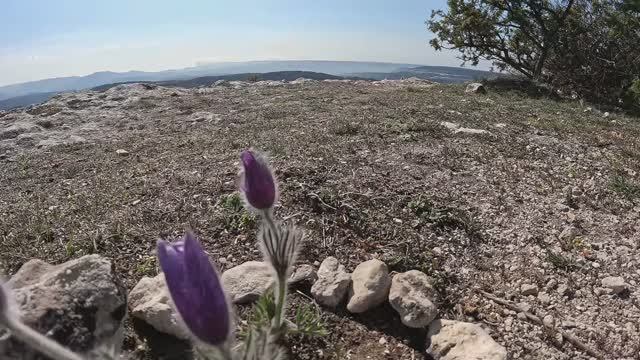 Волшебная Сон Трава. Пещерный Монастырь Челтер-Мармара.