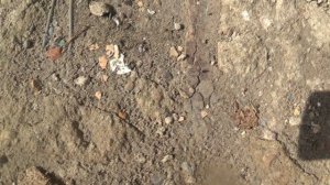 МУРАШКИ 💥 ГУЛЯЮТ 💥ПОДПИШИСЬ