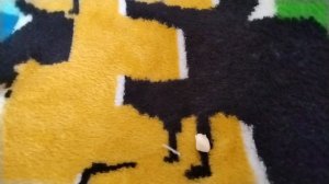 ШОК:У меня выпал зуб ночью!